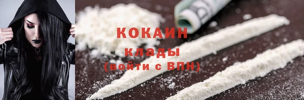 PSILOCYBIN Майский