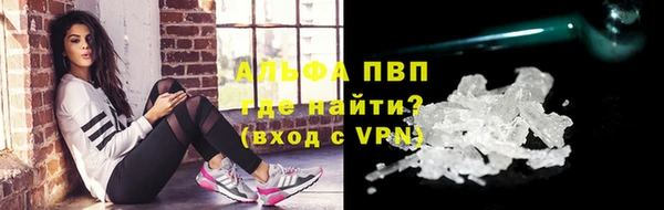 PSILOCYBIN Майский