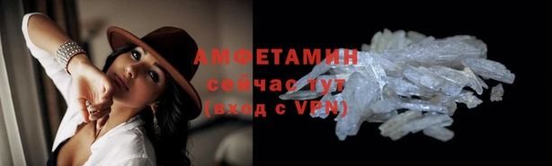 PSILOCYBIN Майский