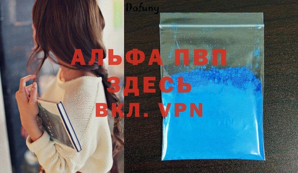 PSILOCYBIN Майский