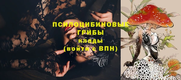 круглые Магас