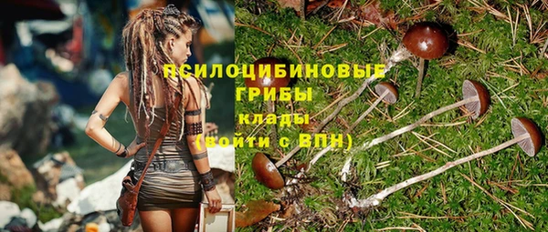круглые Магас