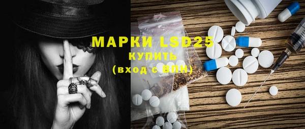 PSILOCYBIN Майский