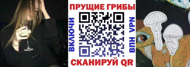 Галлюциногенные грибы Cubensis  Купить закладки  Свирск 